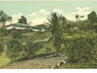 Victoria, Cameroun, 1910