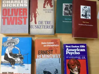 Forskellige romaner – se pris på den enkelte