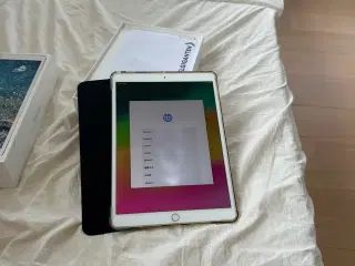 iPad Pro 10.5 +  pencil