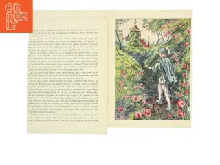 Torne Rose Billedbog fra Carl Larsens Forlag