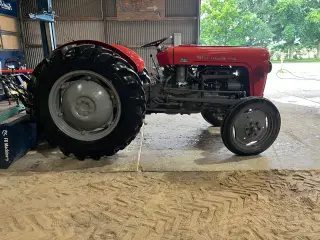 Ferguson 35 Benzin