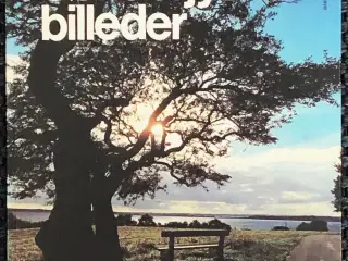 Sønderjyske billeder, 1981