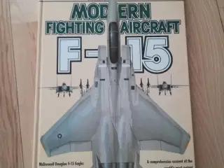 Modern fighting aircraft F-15