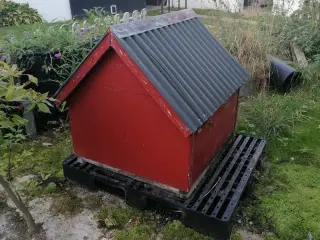 Hund hus