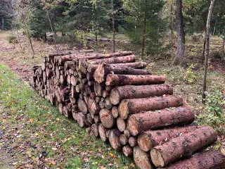 Ca. 5 skovrummeter grantræ