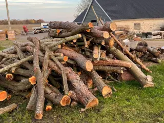 Brænde sælges (8 m3).