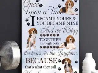 Købes beagle - helst tæve