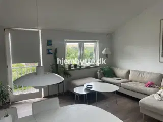 Hjembytte - Dalskrænten