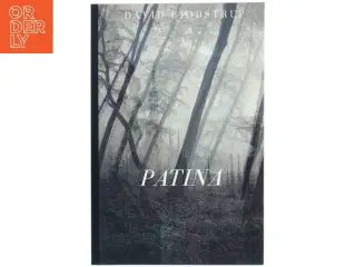 Patina af David Bjødstrup