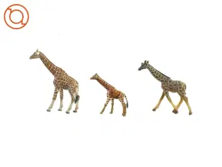 Giraffer fra Schleich Og Procon (str. 9 x 13 cm)