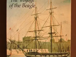 the voyage of the beagle, by charles darwin, emne: