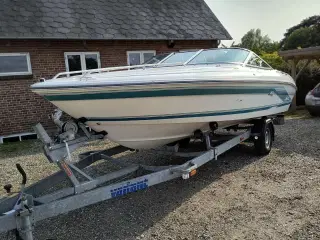 Speedbåd Sea Ray 200 incl. trailer