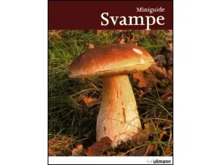 Svampe - Miniguide
