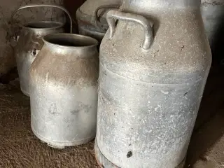 Mælke junger og spande 