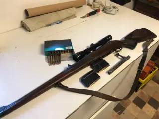 Carl Gustav Sauer 3006