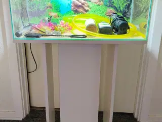 54 liters akvarie med bord og udstyr 