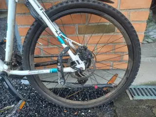 Mountain bike Str. 29'' cykel med hjelm 24 gear 55