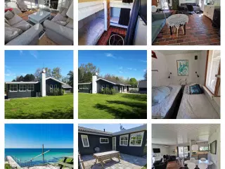 Sommerferie i sommerhus på Langeland