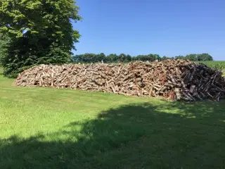 Tør Brænde nåletræ 