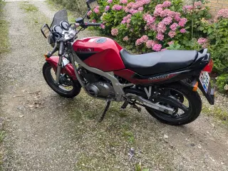 suzuki gs500