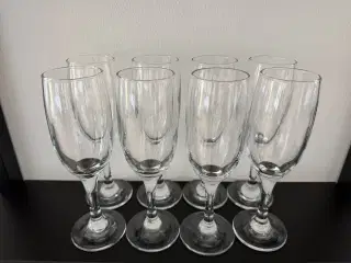 Champagneglas 8 stk