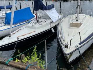 Sejlbåd 30fod Caprice