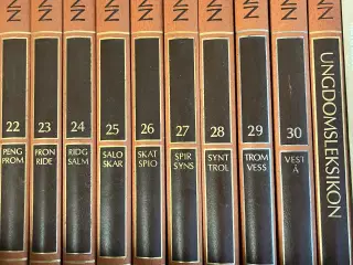 Gratis Lademanns Leksikon