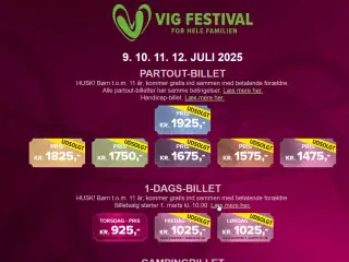 Vig Festival Partout-billet