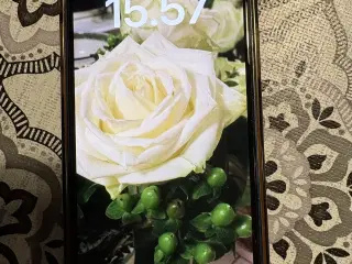 Fin blå IPhone 12 mini