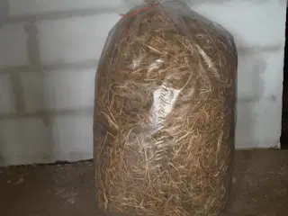 Hø