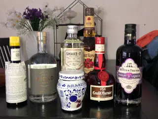Ingredienser til Cocktails