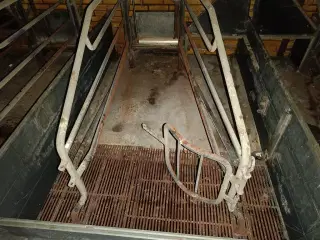 - - - Sdr Vissing  Farestier 48 stk.