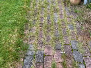 Fliser/belægningssten