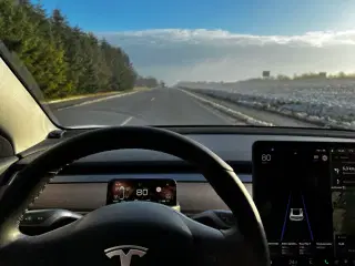 Tesla Model 3 Performance