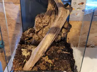 Terrarium, Exo Terra 