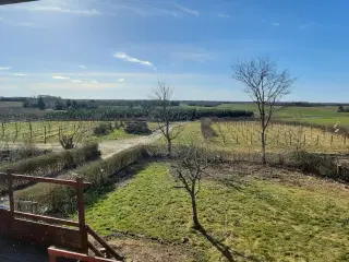 Jagt ejendom på 11,3Ha, særligt natur og egen sø.