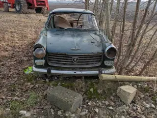 Peugoet 404