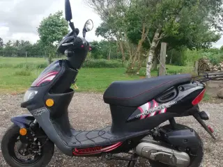 Scooter model  30