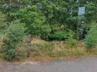 Kontor lokale/undervisningslokale