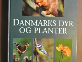 danmarks dyr og planter, af mogens andersen og jon
