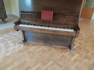 Klaver 