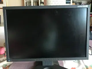 Eizo Computerskærm 