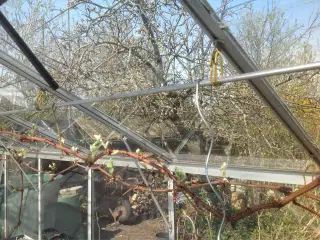 Plantespiraler