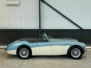Austin Healey 100/6 6-cyl engelsk fuldblod 1958
