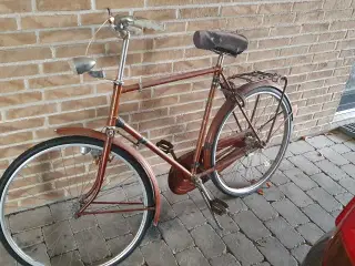 Cykler D+H