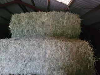 Hø i minibig
