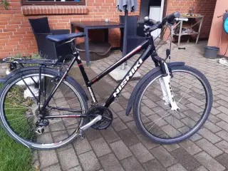 Nishike hybrid