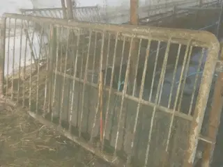 Fanggitter og mellem