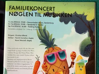 familiekoncert Sønderjyllands Symfoniorkester