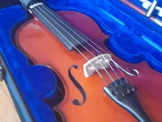 Violin 1/2 Leonardo 